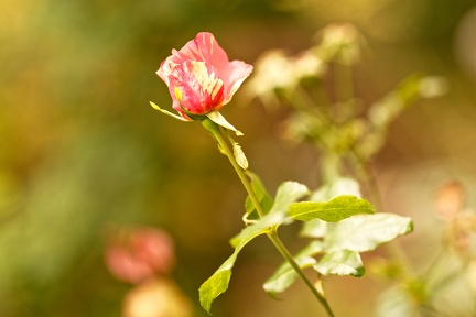 851 9923 DxO Web Schnitt 983