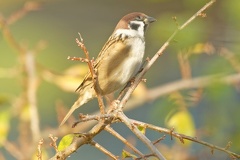 851 0576 DxO Web Schnitt-1 1948