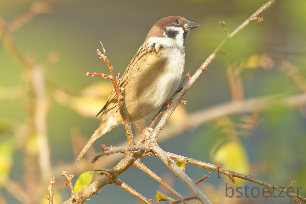 851 0576 DxO Web Schnitt-1 1948