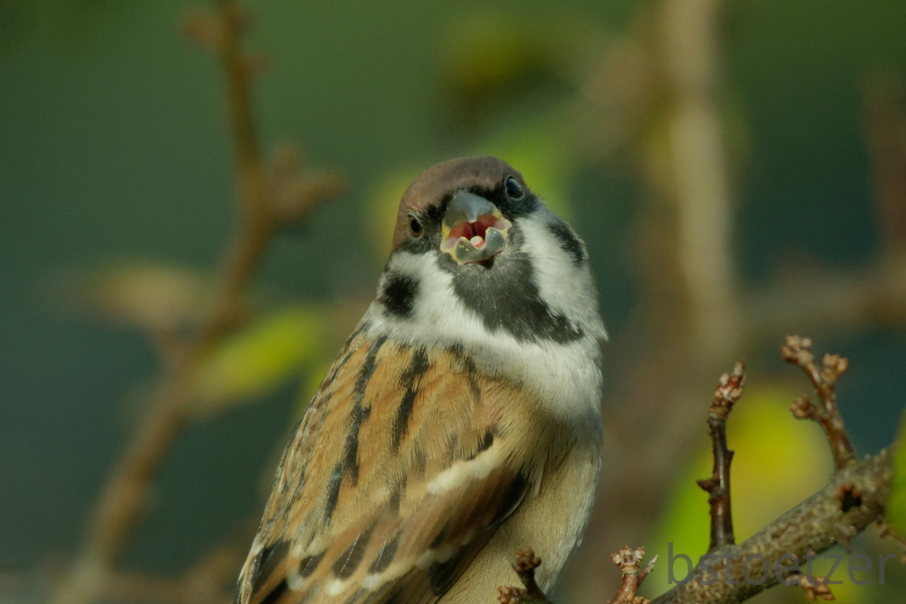 851 0573 DxO Web Schnitt-1 1947