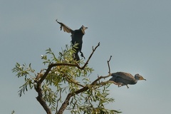 851 7649 DxO Web Schnitt 1963