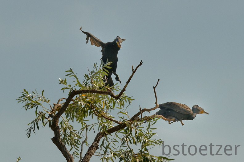 851 7649 DxO Web Schnitt 1963