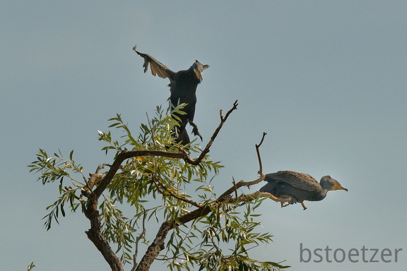 851 7649 DxO Web Schnitt 1963