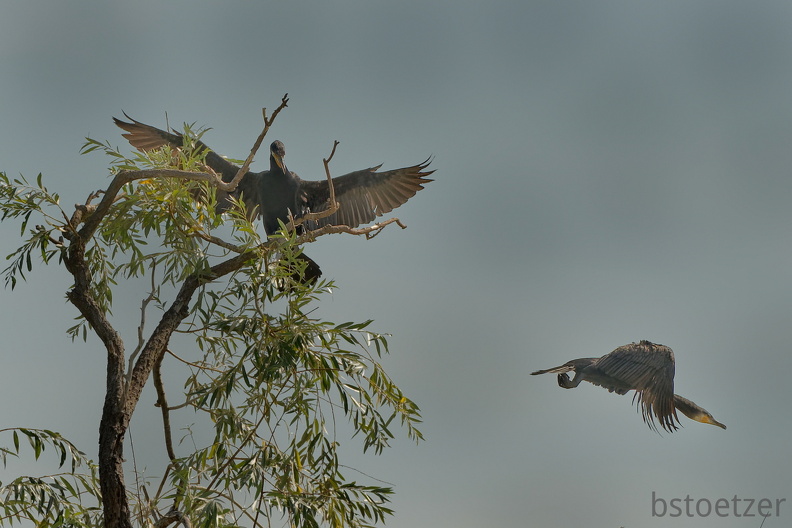 851 7651 DxO Web Schnitt 1965