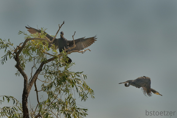 851 7651 DxO Web Schnitt 1965