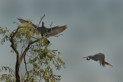 851 7651 DxO Web Schnitt 1965