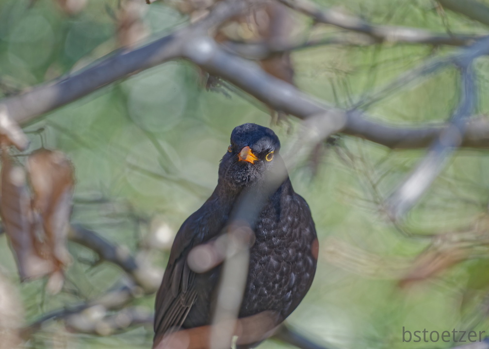 852 1967Cut final 1966