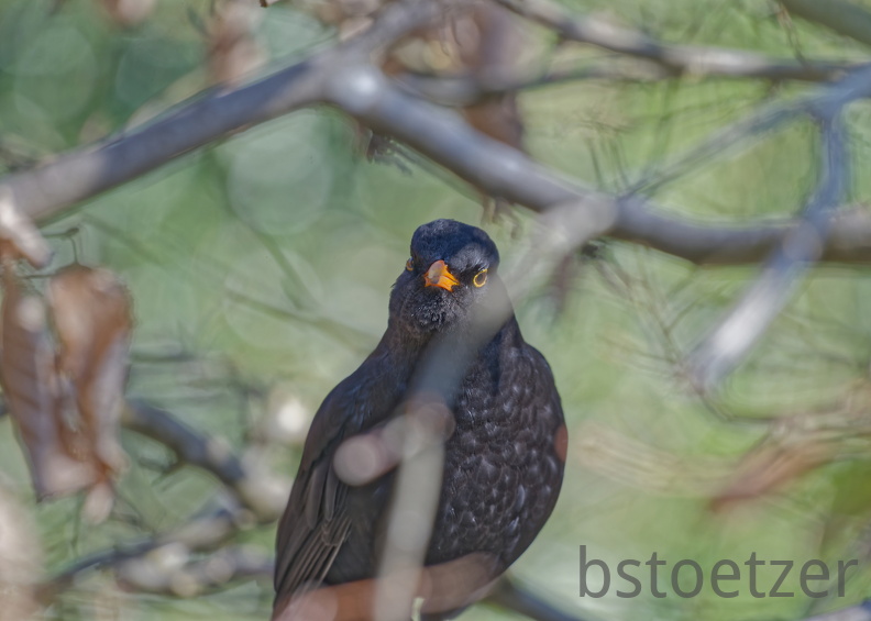 852 1967Cut final 1966