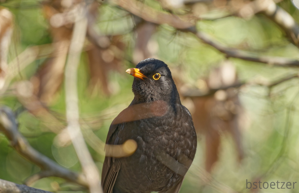 852 1976Cut final 1967