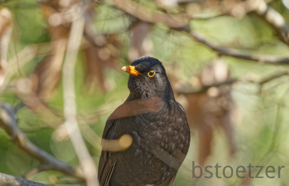 852 1976Cut final 1967