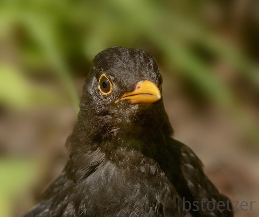 NEU 8924 heller 1970