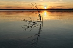 851 2316 DxO selectWeb