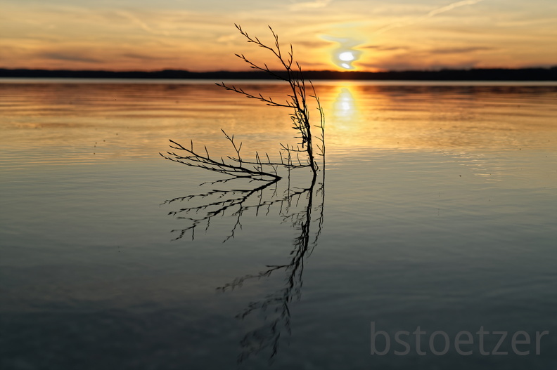 851 2316 DxO selectWeb