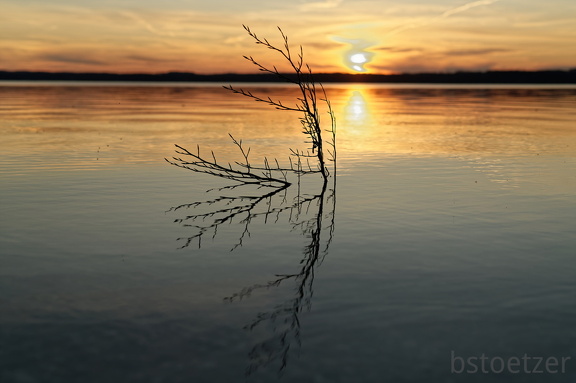 851 2316 DxO selectWeb