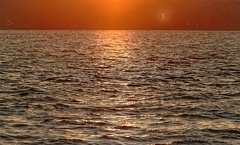 851 3016 DxO selectWeb