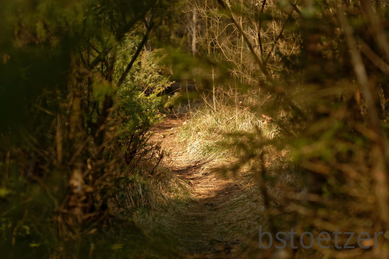 851 2680 DxO select 1989