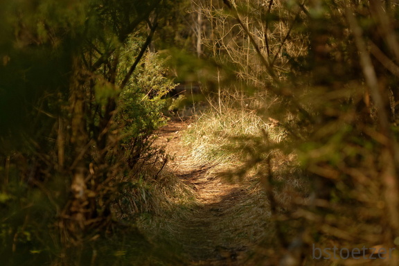 851 2680 DxO select 1989