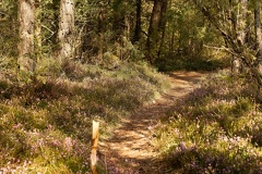 851 2682 DxO select 1990