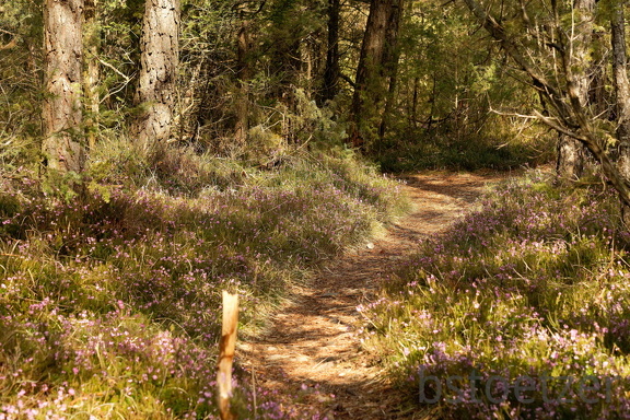 851 2682 DxO select 1990