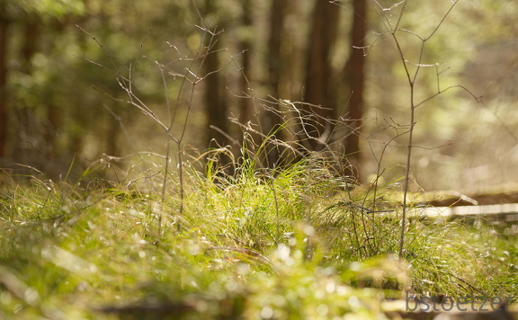 851 2704 DxO select 1991