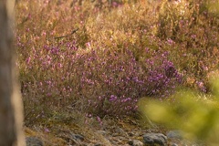 851 2711 DxO select 1992