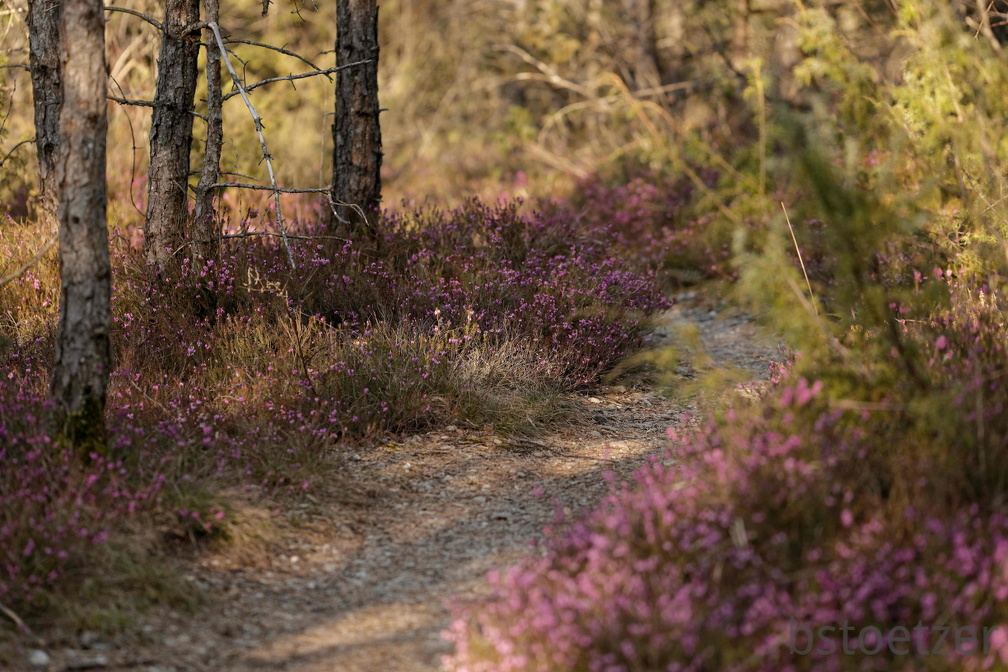 851 2834 DxO select 1993