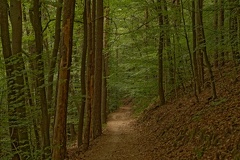 851 7672 DxO Web Schnitt 759 1995