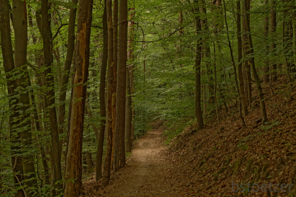 851 7672 DxO Web Schnitt 759 1995