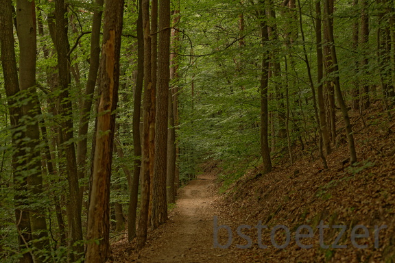 851 7672 DxO Web Schnitt 759 1995