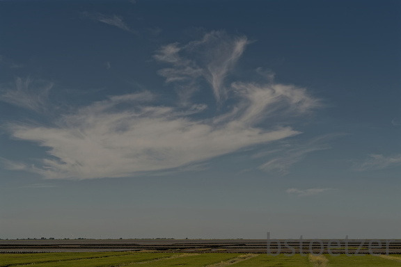 851 9043 DxO Web Schnitt 773