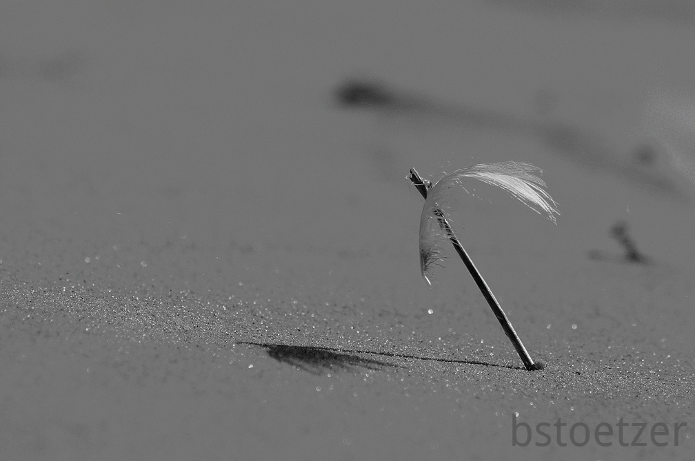 B04 1698 SW Tonw 2010