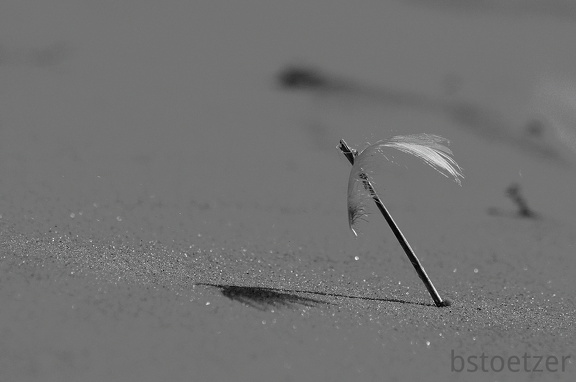 B04 1698 SW Tonw 2010