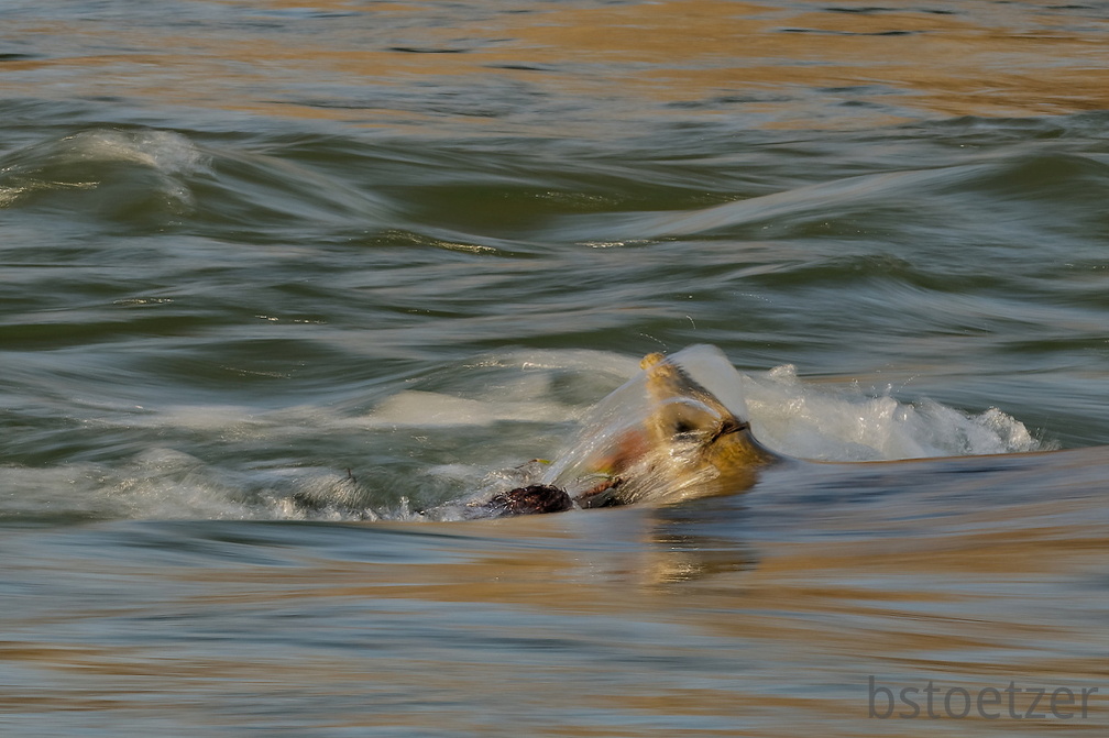 851 2803 DxO selectWeb