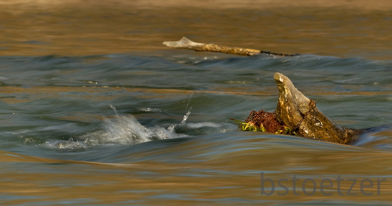 851 2861 DxO select 2019