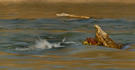 851 2861 DxO select 2019