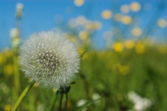 10Mbyte NEW3505-01 2021