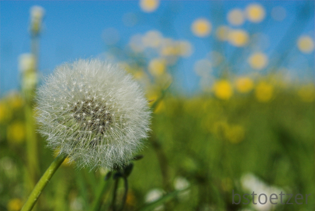 10Mbyte NEW3505-01 2021