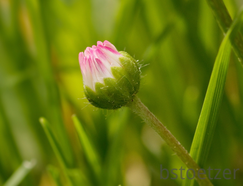 851 4167 DxO Web Schnitt 971