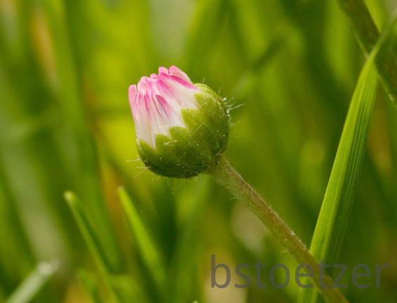 851 4167 DxO Web Schnitt 971