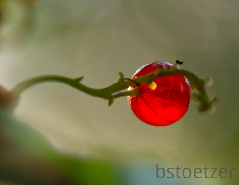 851 5466 DxO Web 2027