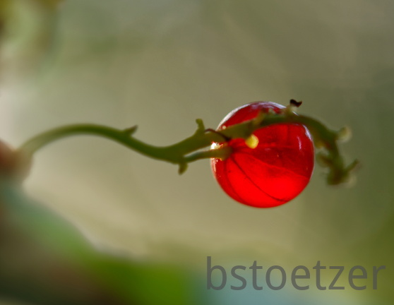 851 5466 DxO Web 2027