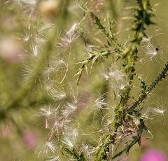 851 7240 DxO Web Schnitt 866 2029