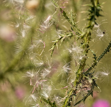 851 7240 DxO Web Schnitt 866 2029