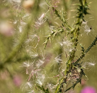 851 7240 DxO Web Schnitt 866 2029