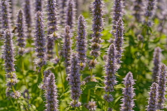 851 8422 DxO Web Schnitt 765 2030