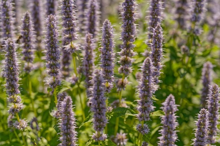 851 8422 DxO Web Schnitt 765 2030