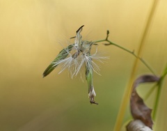 851 9417 DxO Web SchnittWeb