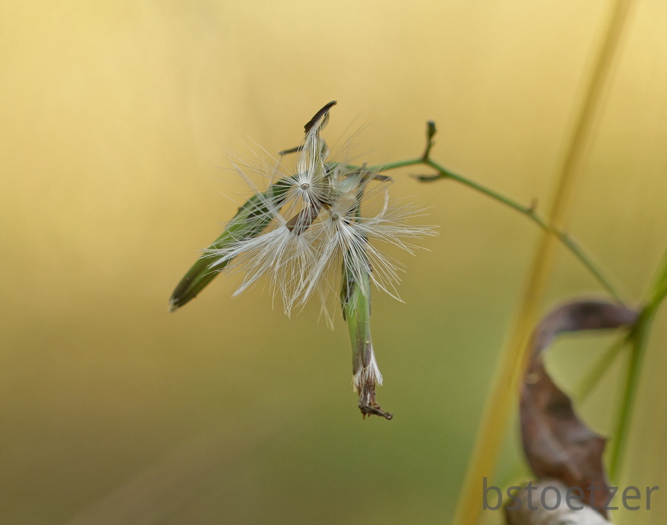 851 9417 DxO Web SchnittWeb