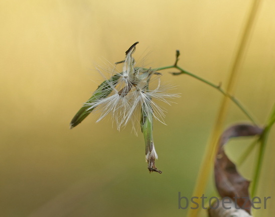 851 9417 DxO Web SchnittWeb