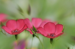 A32 2894 Kopie Weichzeichner radial 2032